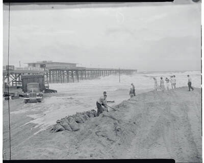 People Filling Sandbags 1955 Photo - Getting Things in Shape Before Diane Comes.