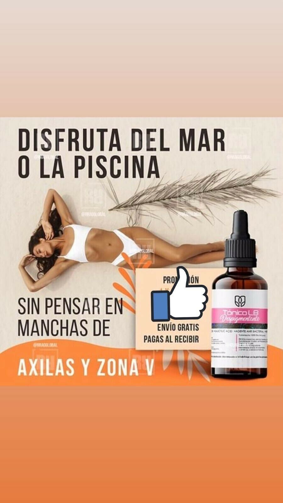 Imagen 11 de 11