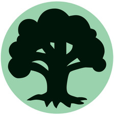 GREEN Instant Sorcery Enchantment Creature - You Choose - MTG Permanent Cards