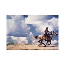 Richard Prince Cowboy Poster Canvas Print Wall Decor Modern 36x24 New