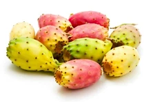 Cactus Pear {Opuntia ficus-indica} 10 seeds Free Shipping! US seller 