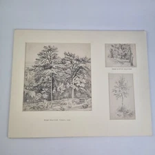 3 Antique Pencil Drawing Landscapes Mounted Together "Near Malvern Wells, 1849"