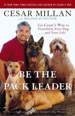 BE THE PACK LEADER: USE CESAR'S WAY TO TRANSFORM YOUR DOG By Cesar Millan VG