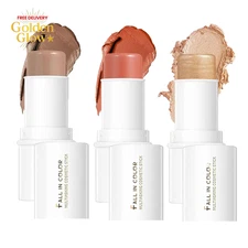 Makeup Kit, Contour, Blush, Highlight Sticks, Facial Repair Bronzer Shading, Cru