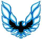 1973 - 1978 TRANS AM COMPLETE DECAL KIT GREEN W/ 1 PC HOOD BIRD - GM LICENSED - Bild 10 von 11