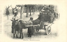 PC ÄGYPTEN ISMAILIA HUHN KAUFMANN TYP, alte Postkarte (b55200)