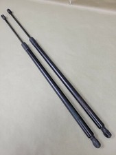 2013-16 Ford Escape Rear Lift Gate Shocks OEM Fomoco