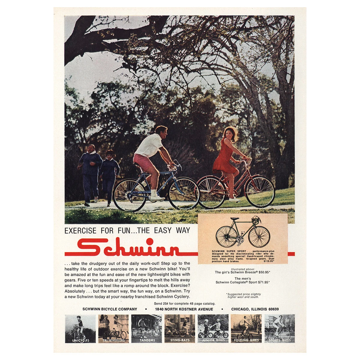 Schwinn 60639 clearance