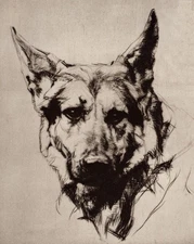 German Shepherd - CUSTOM MATTED - Dog Art Print - Langley - NEW