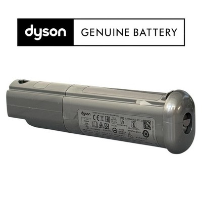 Original Dyson SV19 Akku Power Pack Omni-Glide Akku-Stielstaubsauger