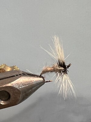 Grey Duster – Mosche Secche Per Pesca Trota, Confezione Da 6, Taglie A Scelta