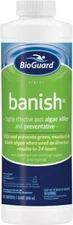 BioGuard Banish Algaecide For Swimming Pools - 1 qt