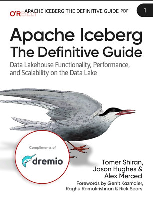 Apache Iceberg The Definitive Guide New Stock Free Shipping