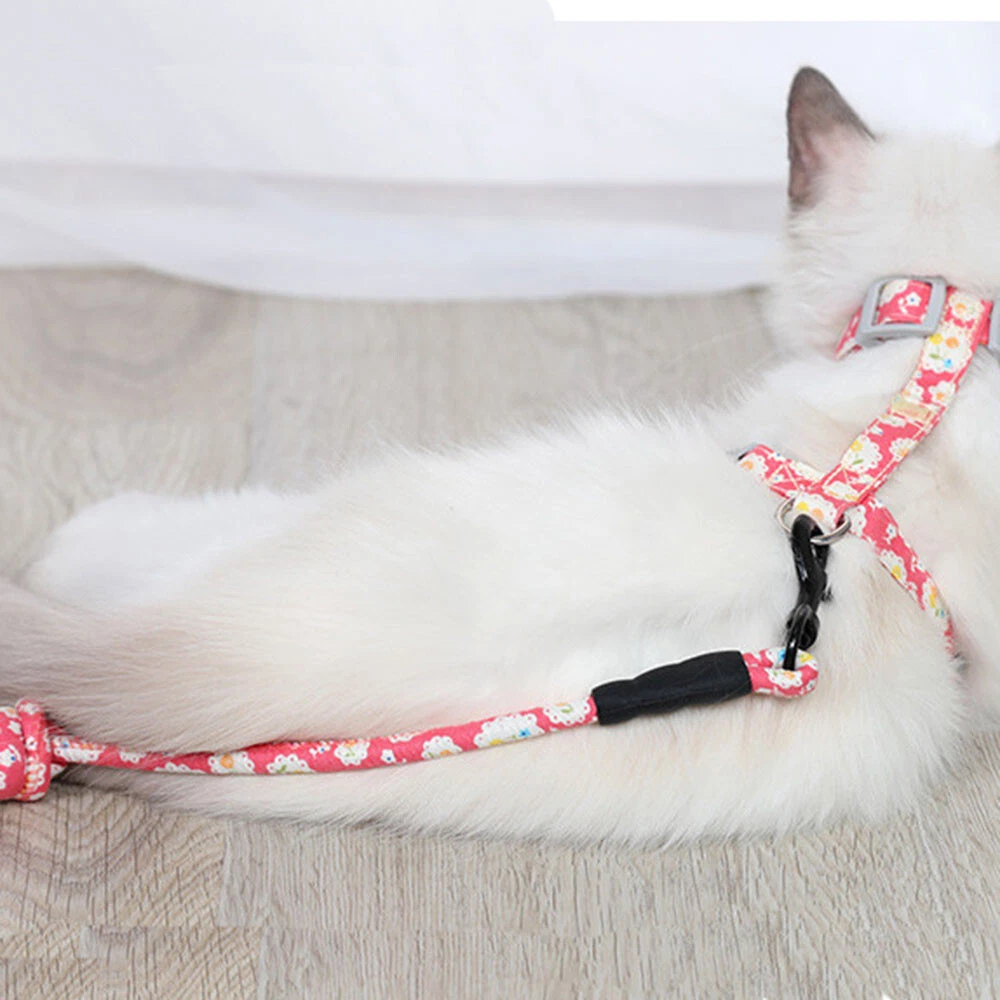 H harness best sale cat