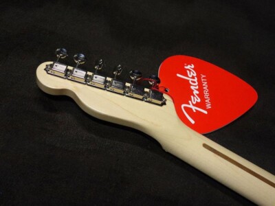 Fender Japan Telecaster Pink Paisley Exclusive Classic 69 musical