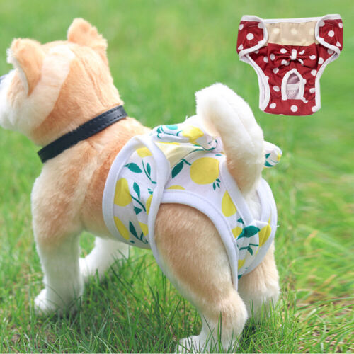 Female Pet Cat Dog Physiological Pants Sanitary Nappy Diaper Shorts Underwear •