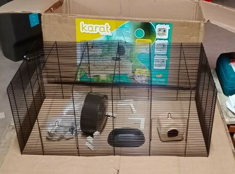 dog pad red and swollen