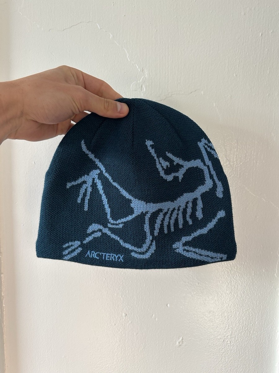 帽子 ARC'TERYX Bird Head Toque Nightscape Arcteryx Bird Head Toque Skull Beanie Blue Teal Nightscape Glacial