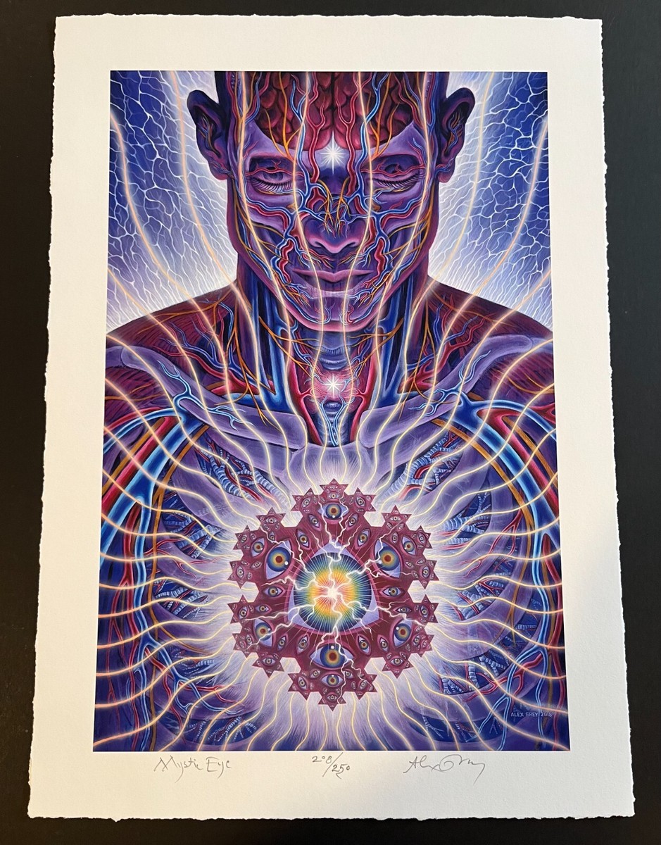 Alex Grey Mystic Eye Print #208/250 Signed #ed With COA Alex Grey Mystic Eye Print #208/250 Signed #ed With COA
