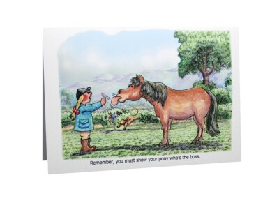 Happy Birthday Horses & Ponies A5 Funny Blank Greeting Card