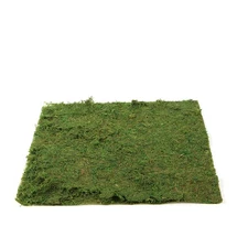 18" x 16" Green Natural Preserved Moss Sheet Party Wedding Crafts Decorations