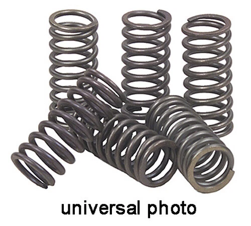 EBC EBC CLUTCH SPRINGS CSK12