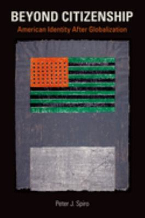 Beyond Citizenship : American Identity after Globalization Peter