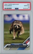 2024 Topps Now Mls - Raquinho! #55 /8078 for sale online | eBay 2024 Topps Now Mls - Raquinho! #55 /8078 for sale online | eBay