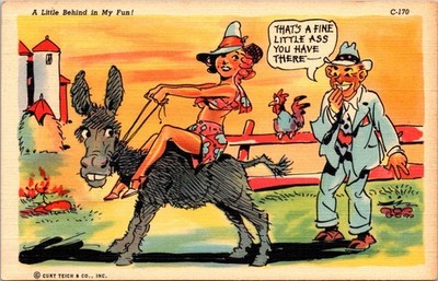 1940s Humor Thats a Fine Little Ass You Have There Donkey Little Behind Postcard