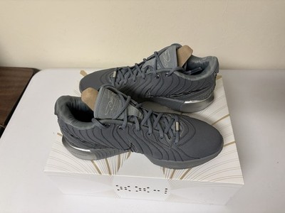 Nike LeBron 21 Resilience Grey/Silver Metallic Shoes Men s Size 12 HF5353-001