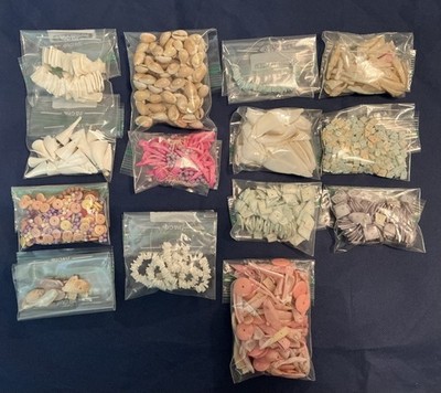 Shell Lot For Jewelry Making Lots Of Colors & Shapes