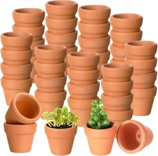 Gerrii 50 Pcs Mini 1. 2 Inch Terracotta Pots Bulk Small Clay Tiny 