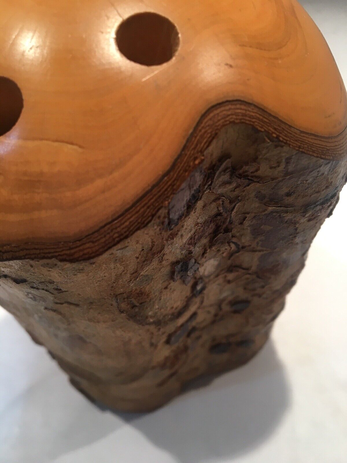 Beautiful Pen Pencil Holder From Daintree Timber Gallery Australia Maplewood Super korting, speciale prijs