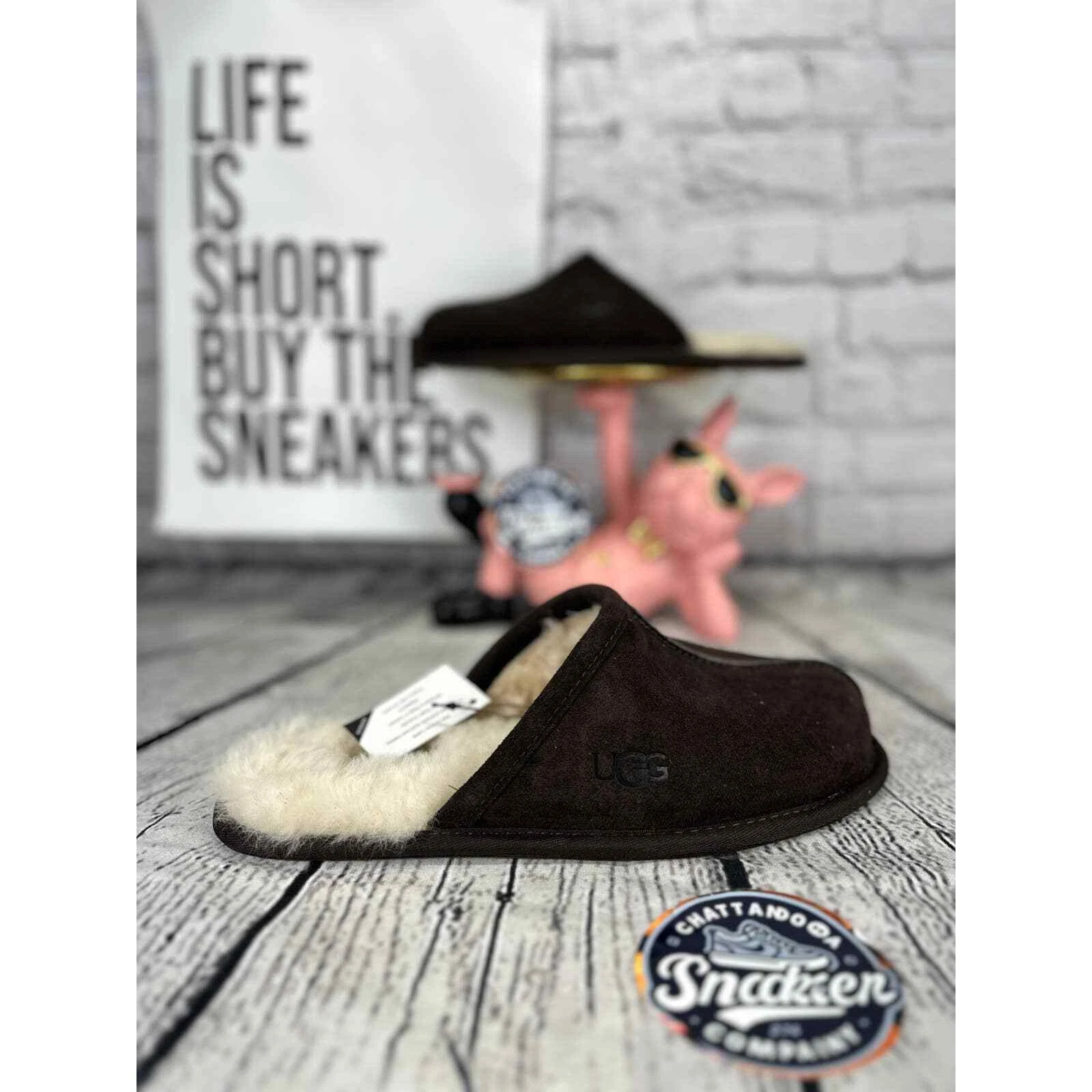 Pantofola a graffi Ugg da uomo 8 espresso marrone pelle di pecora isolate per la casa slip on