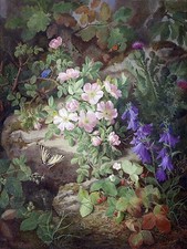 Still Life with alpine flowers Tile Mural Bathroom Wall Backsplash Ceramic 6x8