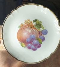 Vintage Germany Bavaria Arzberg porcelain collector plate