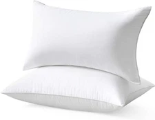Bed Pillows Natural Grey Goose Down Feather Pillow Set of 2, 20 * 36in