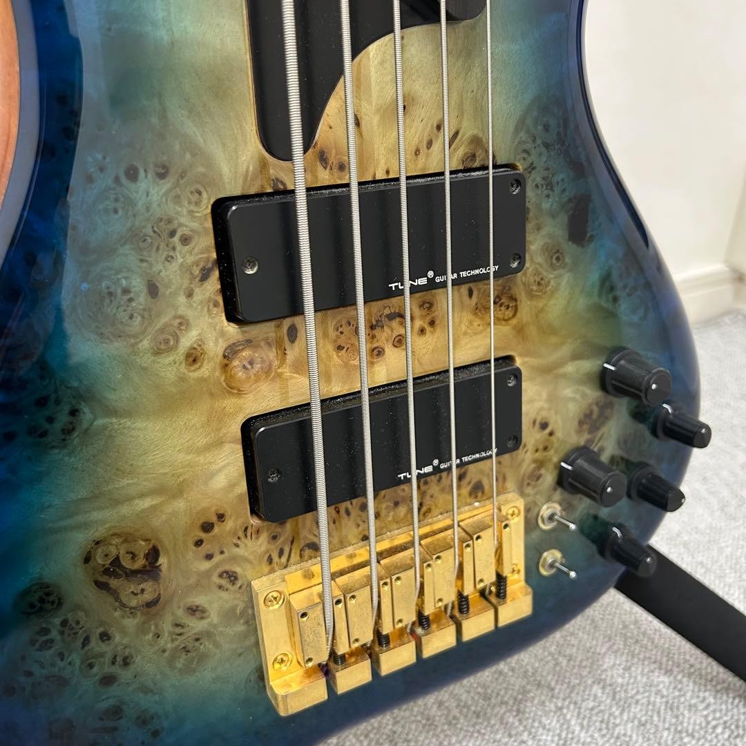 TUNE GUITAR MANIAC TWB-5 / Electric Bass Guitar w/ Case | eBay