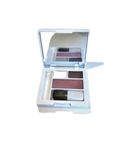 Clinique Colour Surge Eye Shadow Duo LIKE MINK and Blush SMOLDERING PLUM Compact