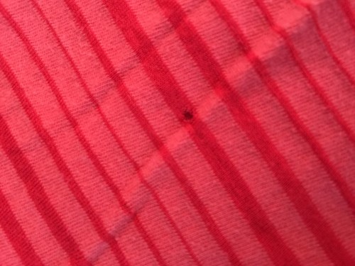 Women’s Lucky Brand Red Striped Lace Front 3/4 Sleeve Blouse Sz S SMall - Picture 7 of 11