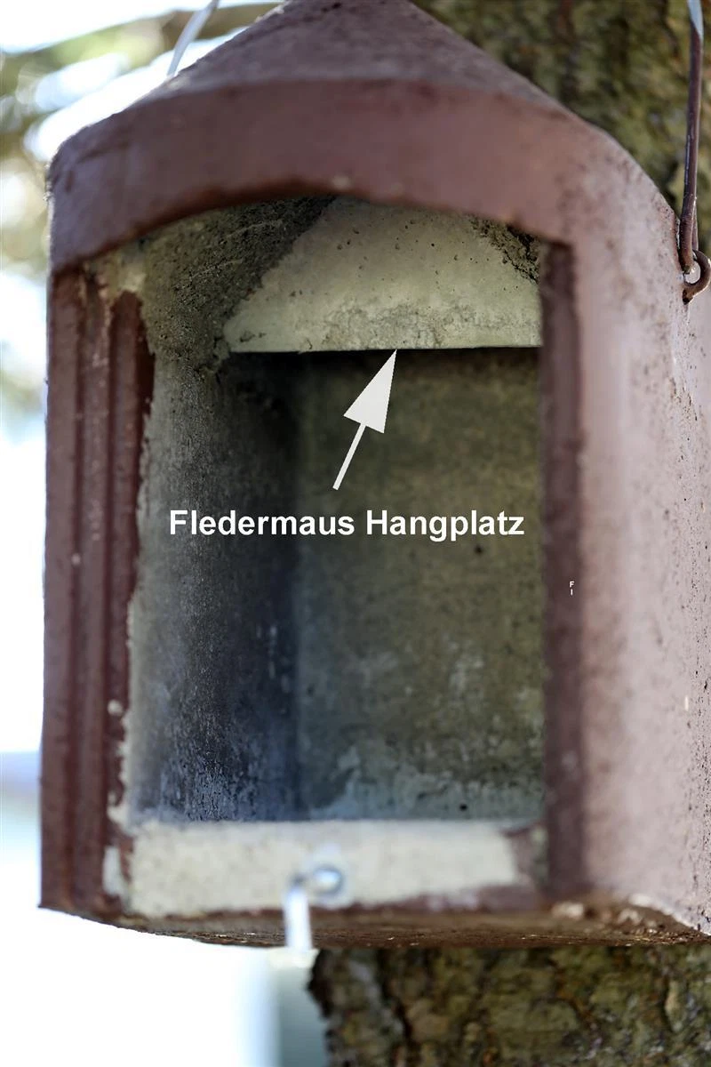 Bild 7 von 7