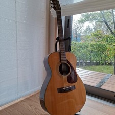 Chitarra acustica Yamaha FG-130 Green Label con custodia rigida originale sti...