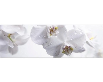 mySPOTTI Badrückwand aqua Aqua orchid 140x45 cm