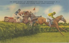 Up and Over Hurdle Racing linen postcard 1940s Monmouth Park Oceanport NJ Horses