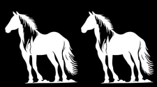 Horse Stallion Vinyl Decal Car Truck Tumbler Laptop Tablet Notebook Window