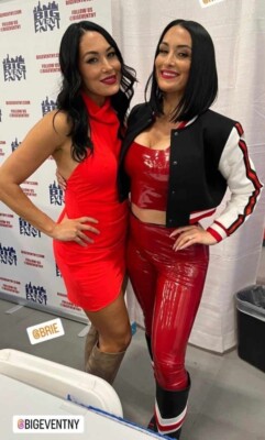 brie bella red dress Brie Bella: Profile & Match Listing
