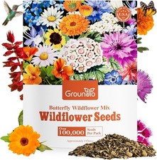 All Perennial Wildflower Seeds Bulk, 1/4 Lb, 100,000 Seeds, 26 Variety Mix with
