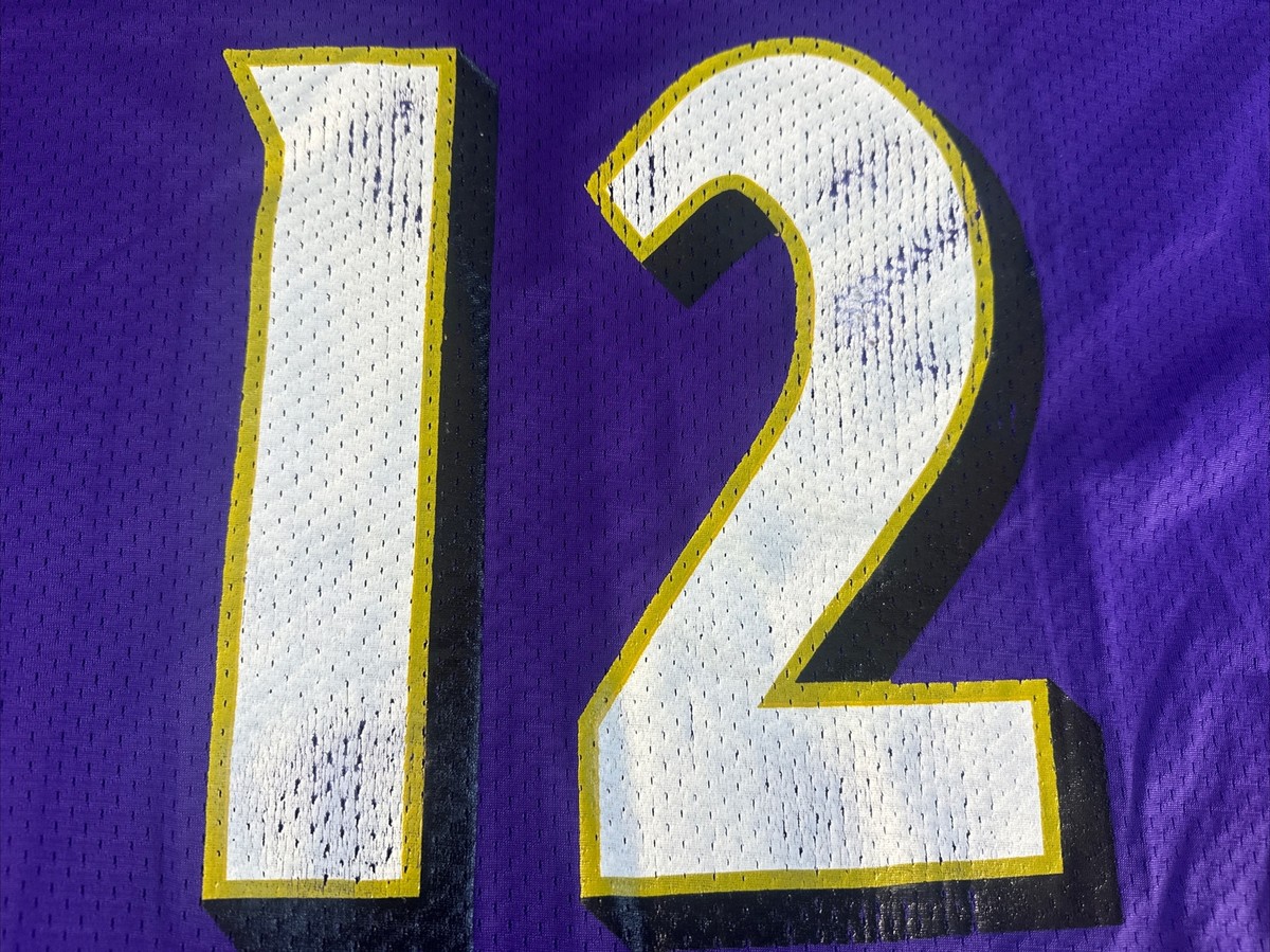 Vinny Testaverde Baltimore Ravens Champion NFL Jersey Size 40