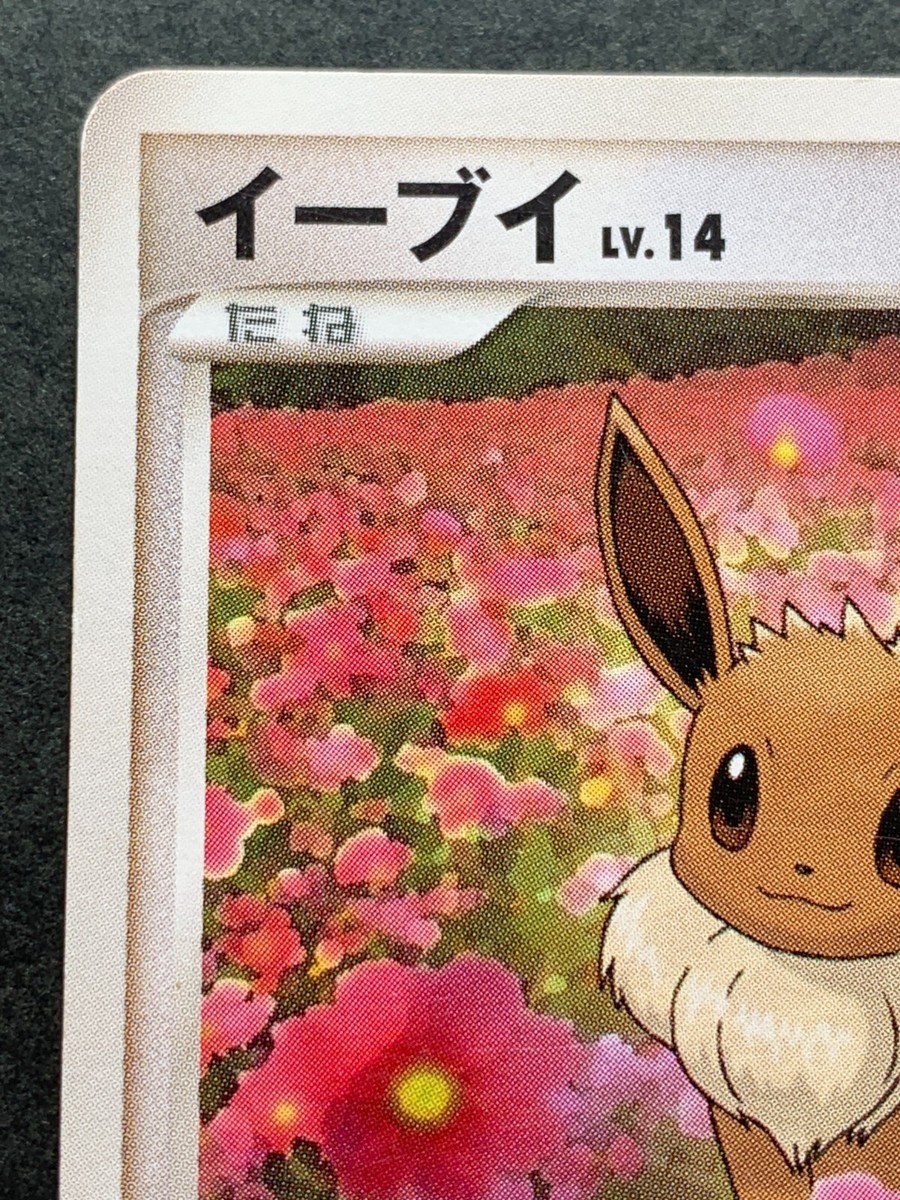 Pokemon card Eevee LV.14 DPBP#157 2007 Pokémon TCG Nintendo