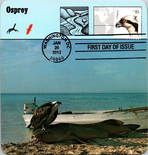 Dr Jim Stamps Maximum Card Osprey Bird 85C Fdc